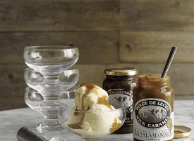 Anti Freeze Ice Cream Scoop